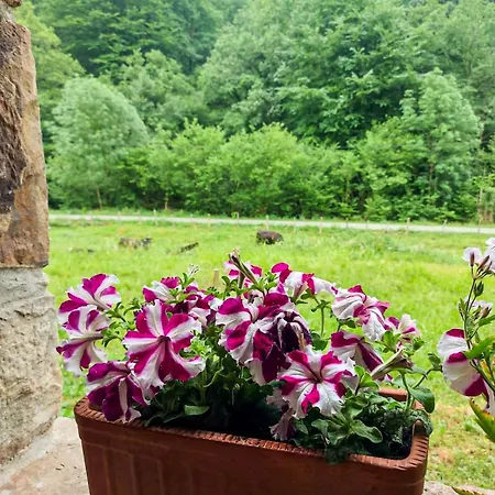 度假居 La Cambera *