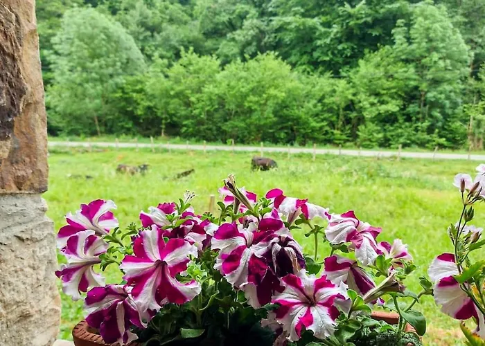 Hébergement de vacances La Cambera *